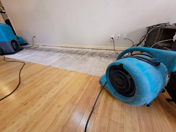 Professional Emergency Water Damage technician working in Clark, MO